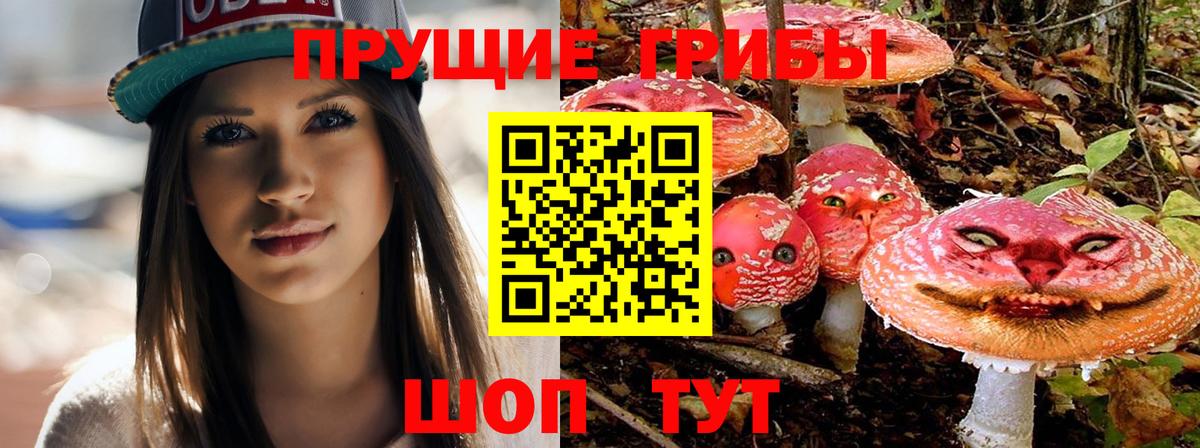 Альфа ПВП Нижнеудинск