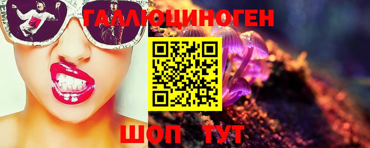 Псилоцибиновые грибы GOLDEN TEACHER Нижнеудинск