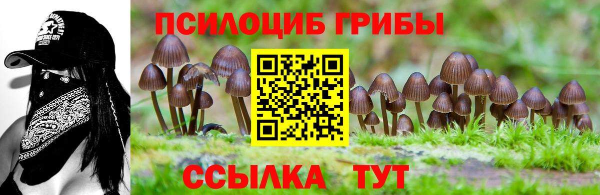 Нижнеудинск  Псилоцибиновые грибы мицелий  Псилоцибиновые грибы мухоморы  Вход с VPN 