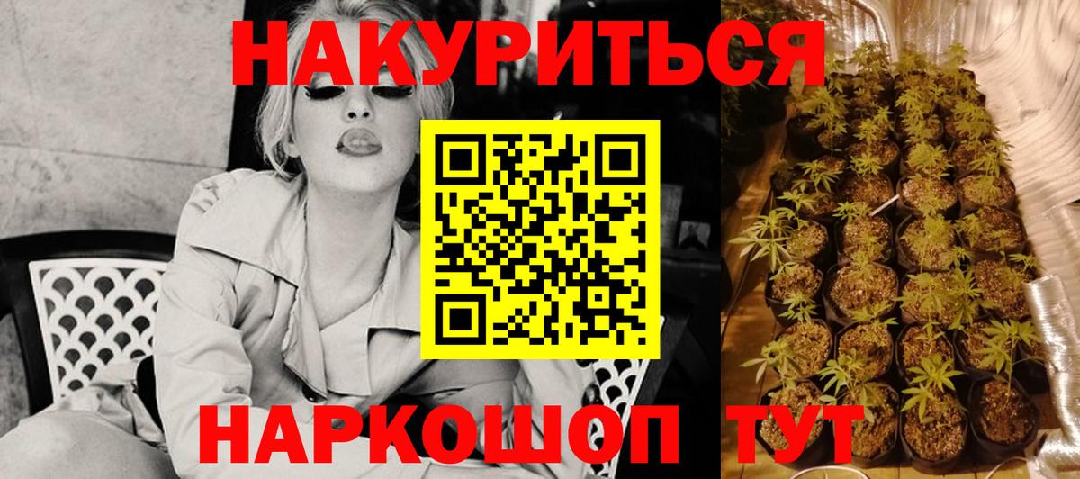 Бошки марихуана сатива Нижнеудинск